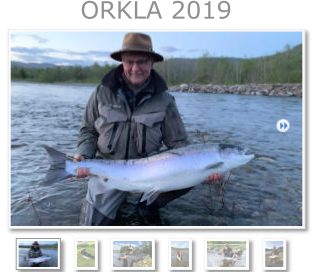 ORKLA 2019