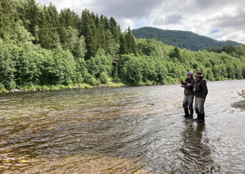 Kurs/Guiding. Lachs richtig drillen